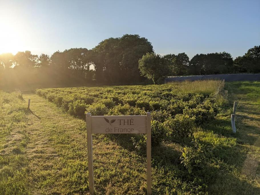 Maison Typique Bretonne Avec Toit De Chaume Camors ภายนอก รูปภาพ
